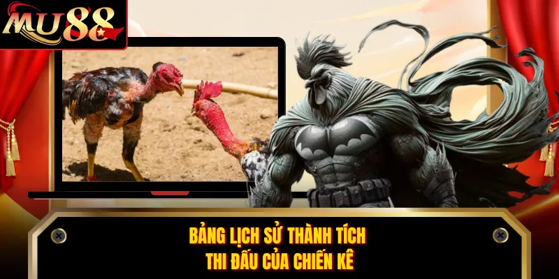 Bảng lịch sử thành tích thi đấu của chiến kê