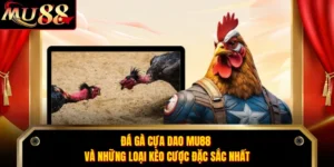 Đá Gà Cựa Dao MU88 Và Những Loại Kèo Cược Đặc Sắc Nhất