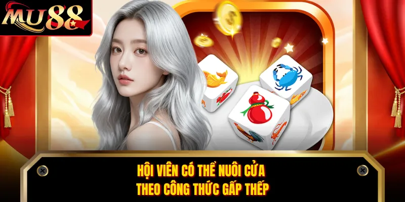 Hội viên có thể nuôi cửa theo công thức gấp thếp