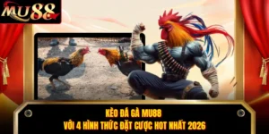 Kèo Đá Gà MU88 Với 4 Hình Thức Đặt Cược Hot Nhất 2026