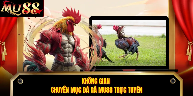 Không gian chuyên mục đá gà MU88 trực tuyến