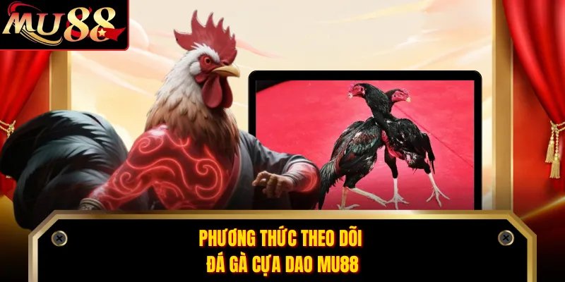 Phương thức theo dõi đá gà cựa dao MU88