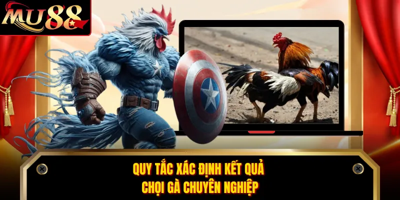 Quy tắc xác định kết quả chọi gà chuyên nghiệp
